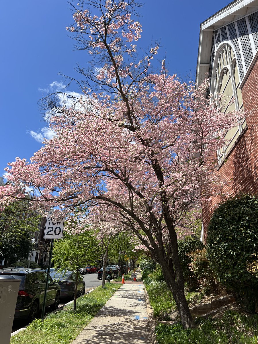 Chris Frei (@chrisrfrei) on Twitter photo Translational Science 2025 in Washington, DC! Association for Clinical and Translational Science Translational Science 2025 in Washington, DC! Association for Clinical and Translational Science