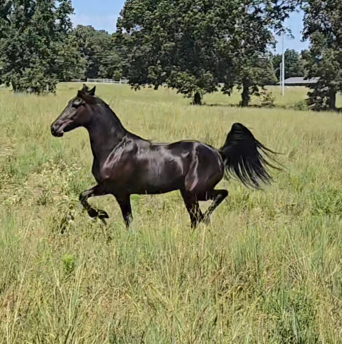 <a href="/VickiVprey/">Tory</a> Memphis