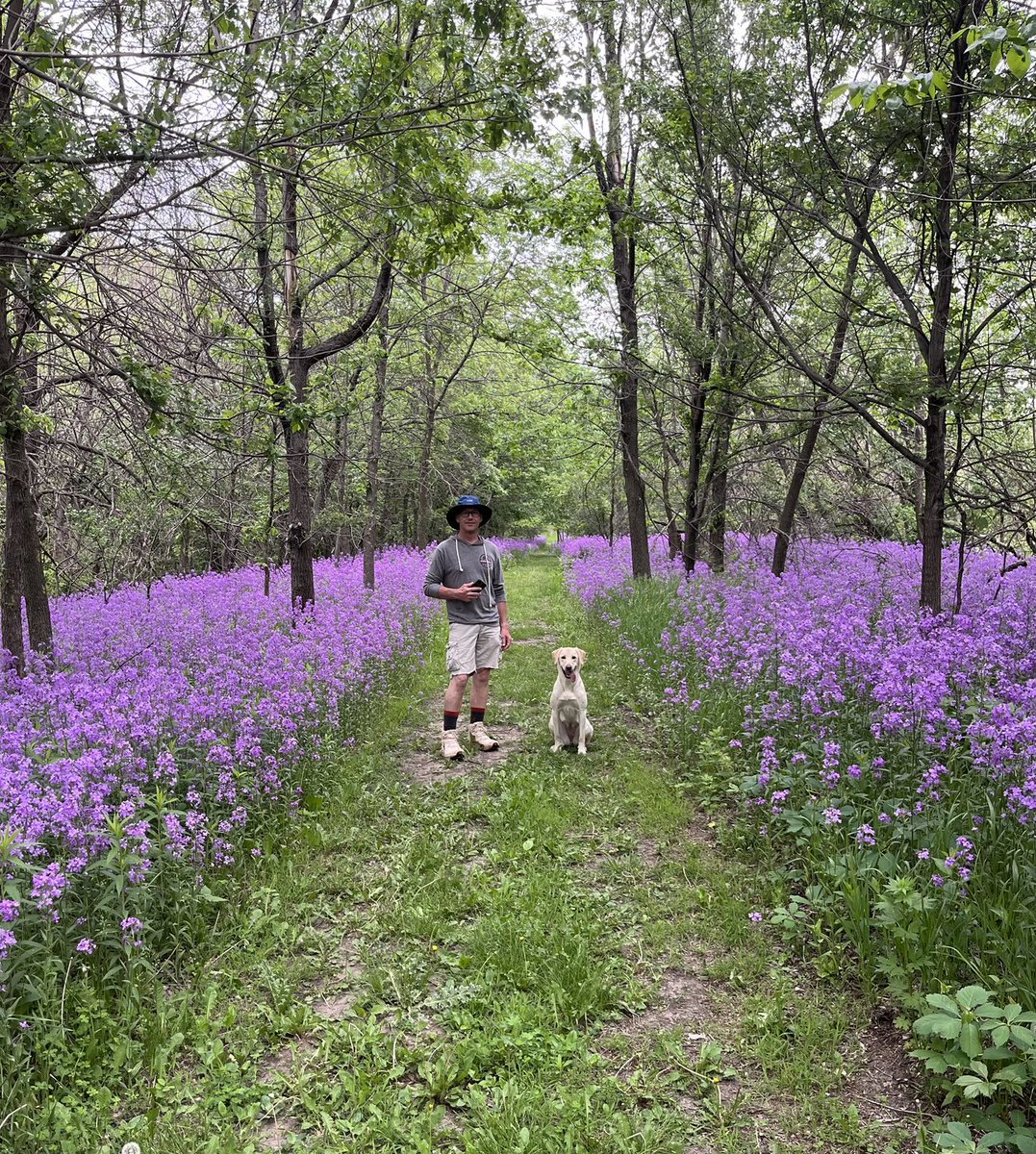 Flowers and furry friends make the perfect combo! 🐾💜🌼

📸: Sherry Storjohann
📍: Russell White Nature Trail, Glidden