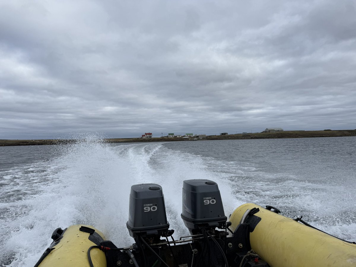 justin_westside's tweet image. Pretty happy with the offload at Livelys today #falklands #gettingitdone