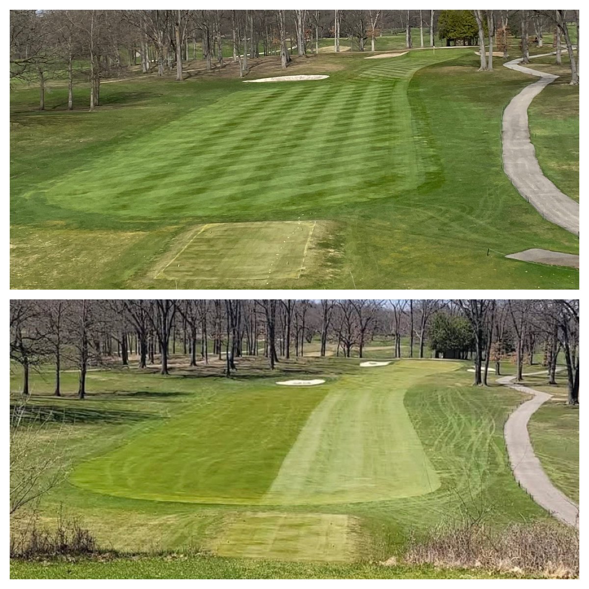 Ian Daniels, CGCS tweet media