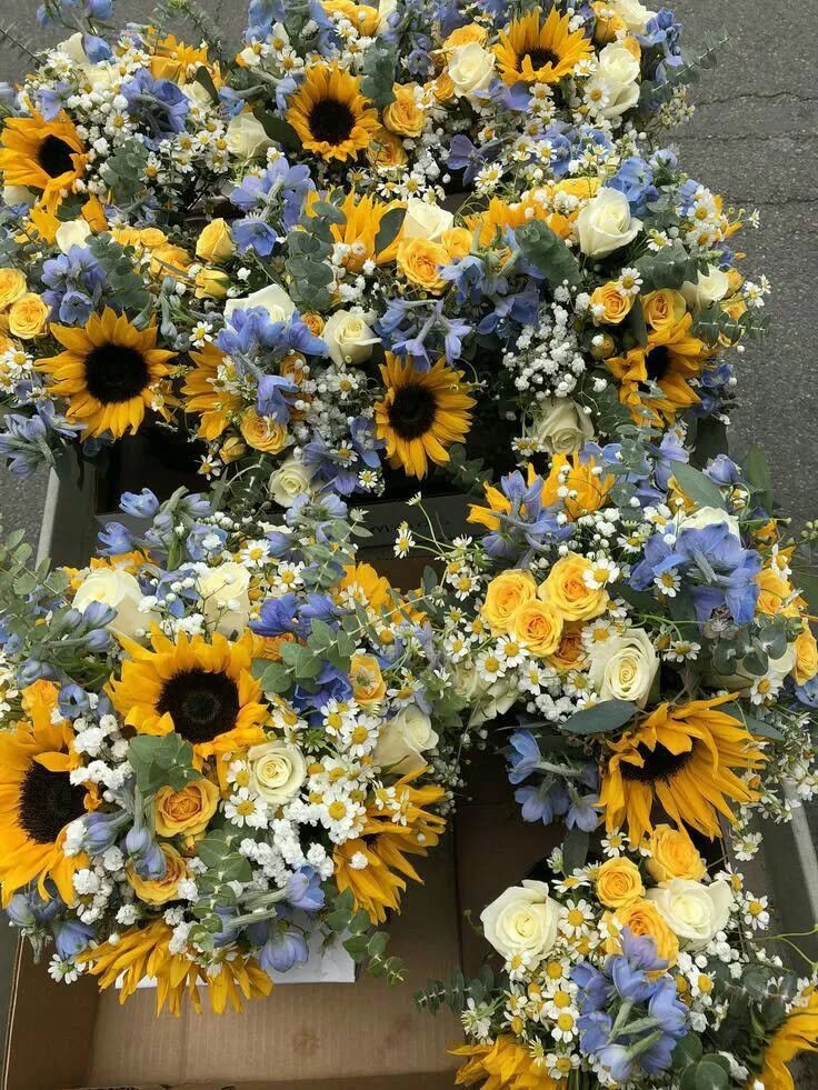SUNFLOWER 🌻 tweet media