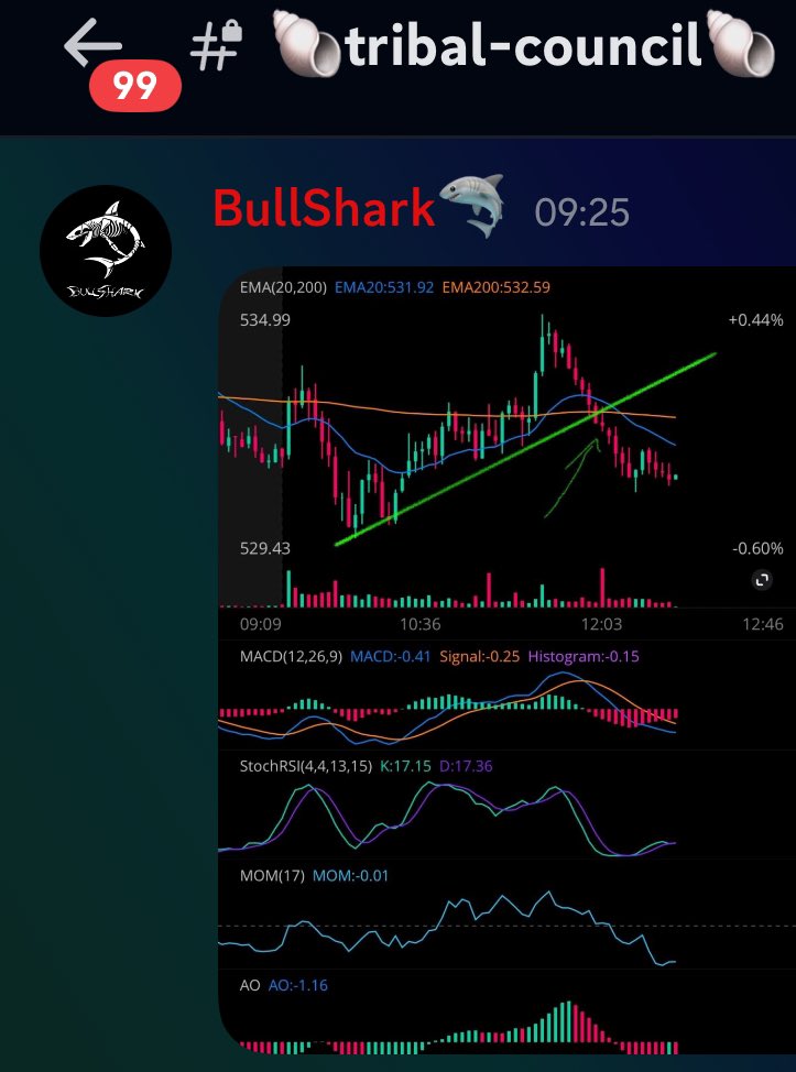 Bully BullShark🦈 tweet media