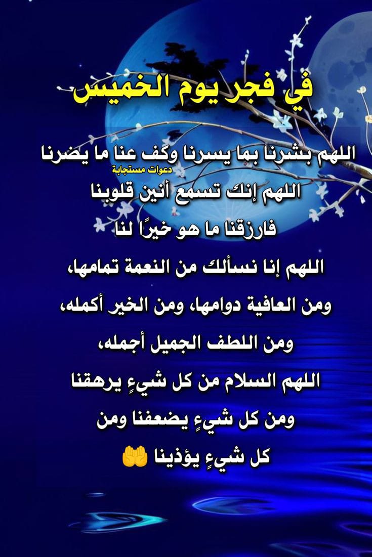 وليد الحيالي (@uvmgav2rkxvpawt) on Twitter photo 