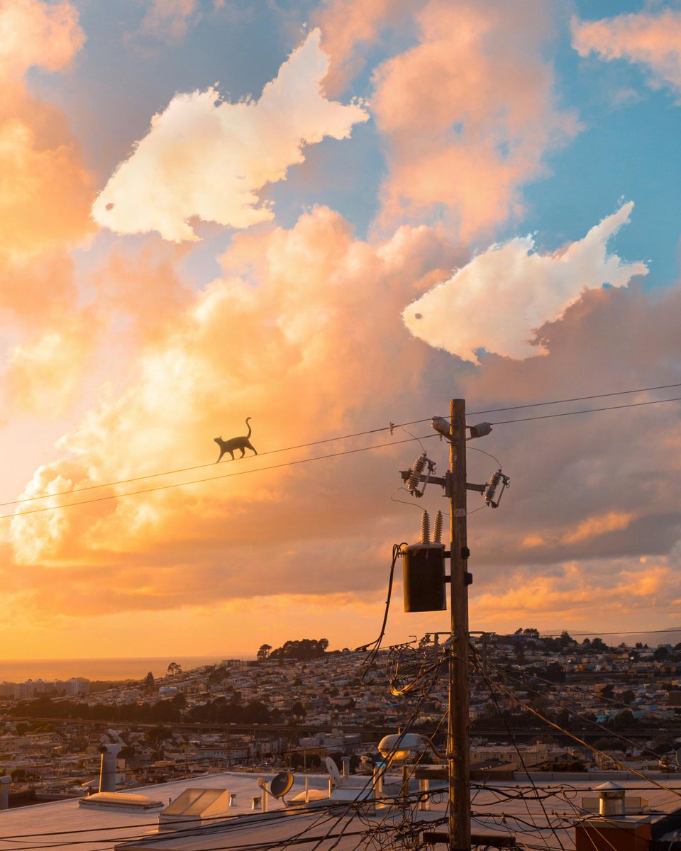 TedsLittleDream tweet media