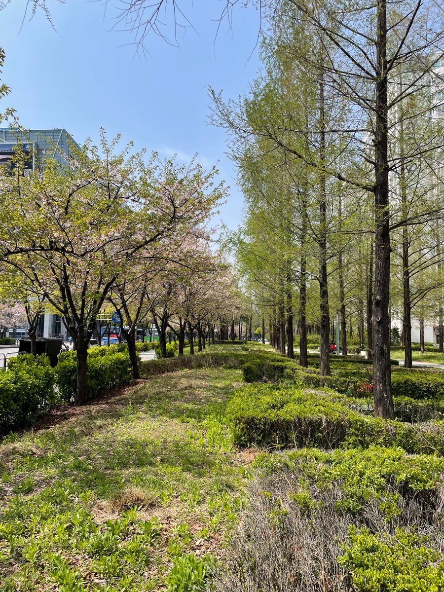 yongtae923's tweet image. 오늘 바깥공기가 상당히 따끈하군요?