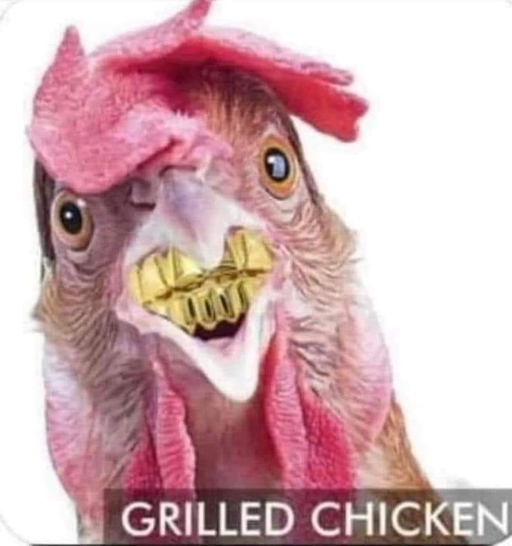 ︎ ︎ ︎ ︎ ︎ ︎ ︎ ︎ ︎ ︎ ︎ ︎ ︎ ︎ ︎ ︎ ︎ ︎ ︎ ︎ ︎ ︎ ︎ ︎ ︎ ︎ ︎ ︎ ︎ ︎