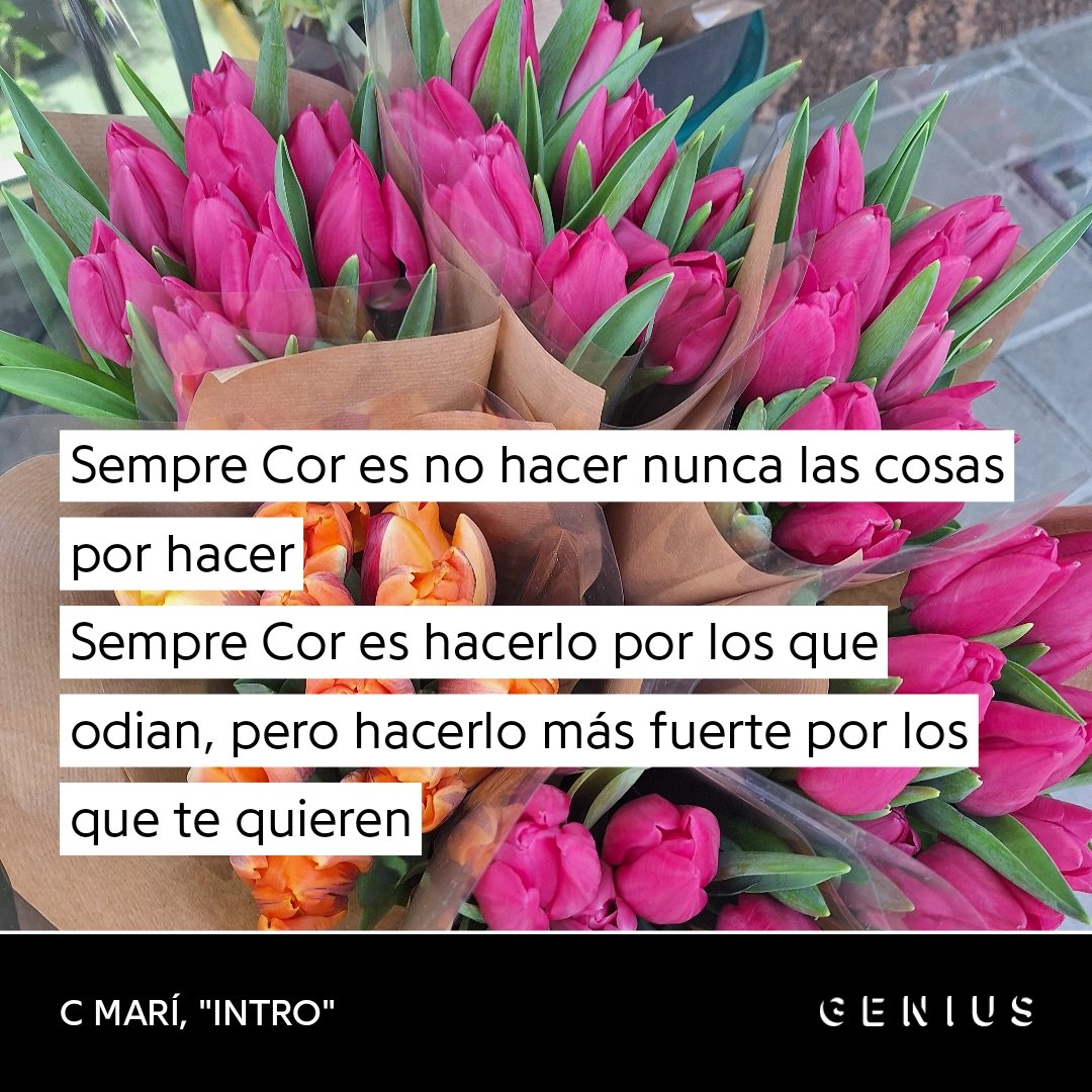 no me cansaré de decir que sempre cor es uno de mis conceptos favoritos 💗