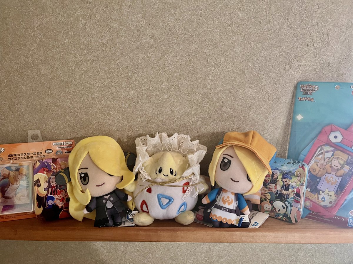 ゲットできた！
棚がにぎやかになりました✨
