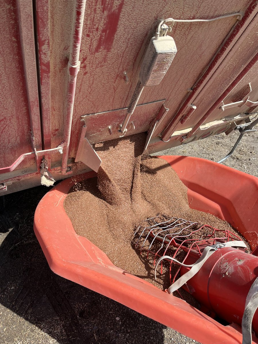 Andrew Wilk tweet media