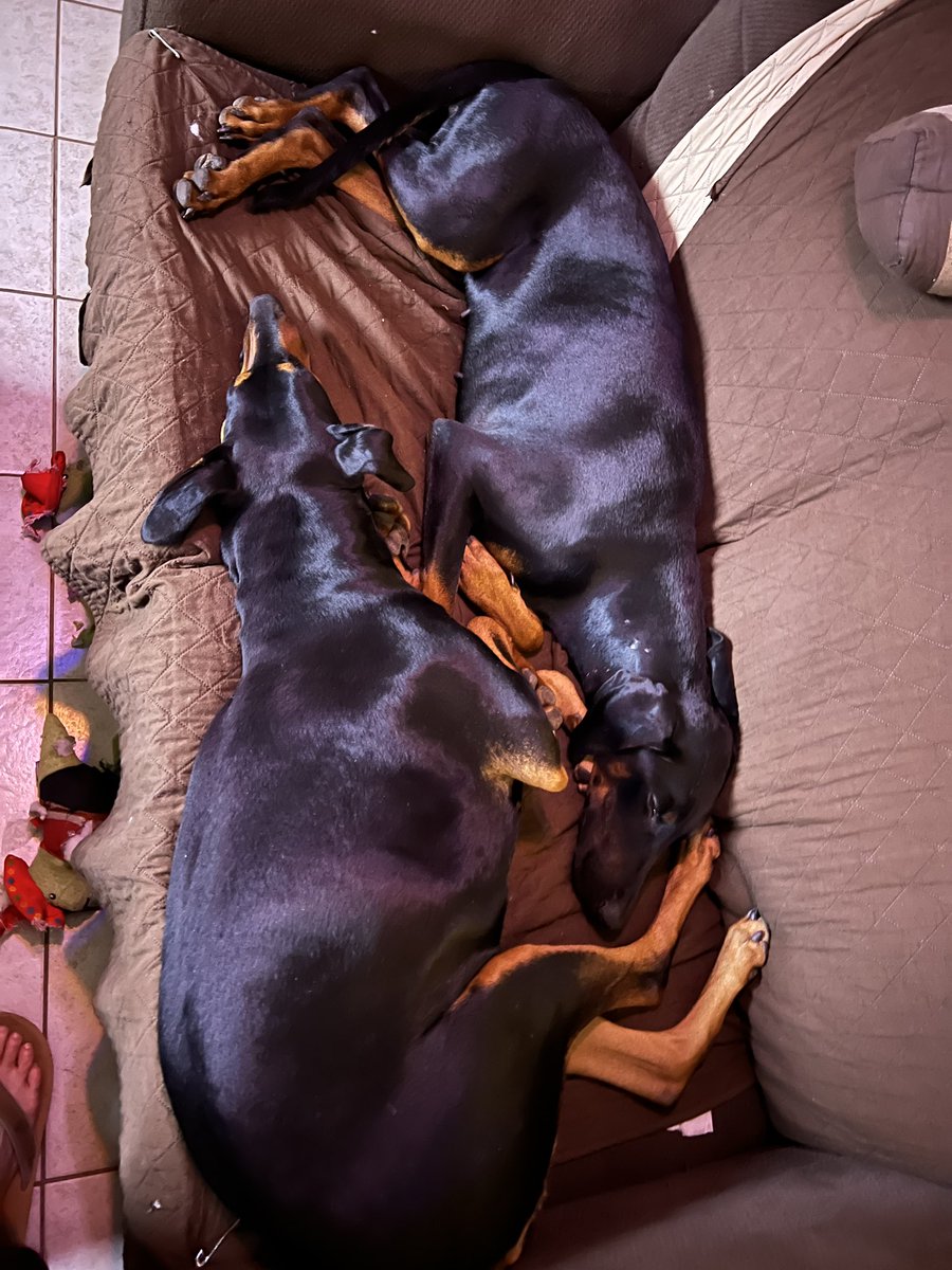 Good thing I have another couch