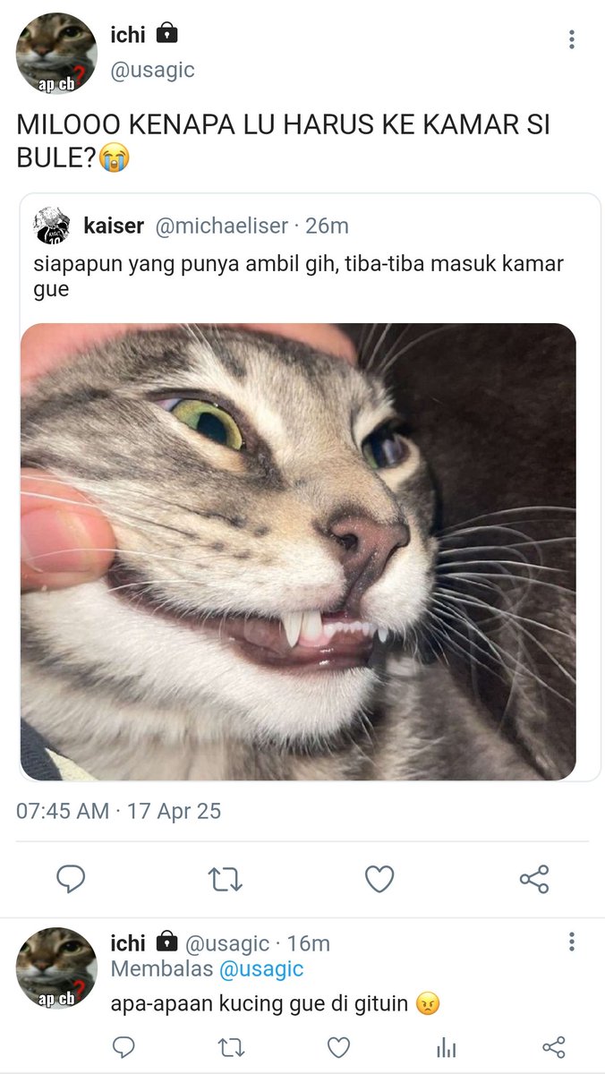 Airdrop Guru 🧘 tweet media