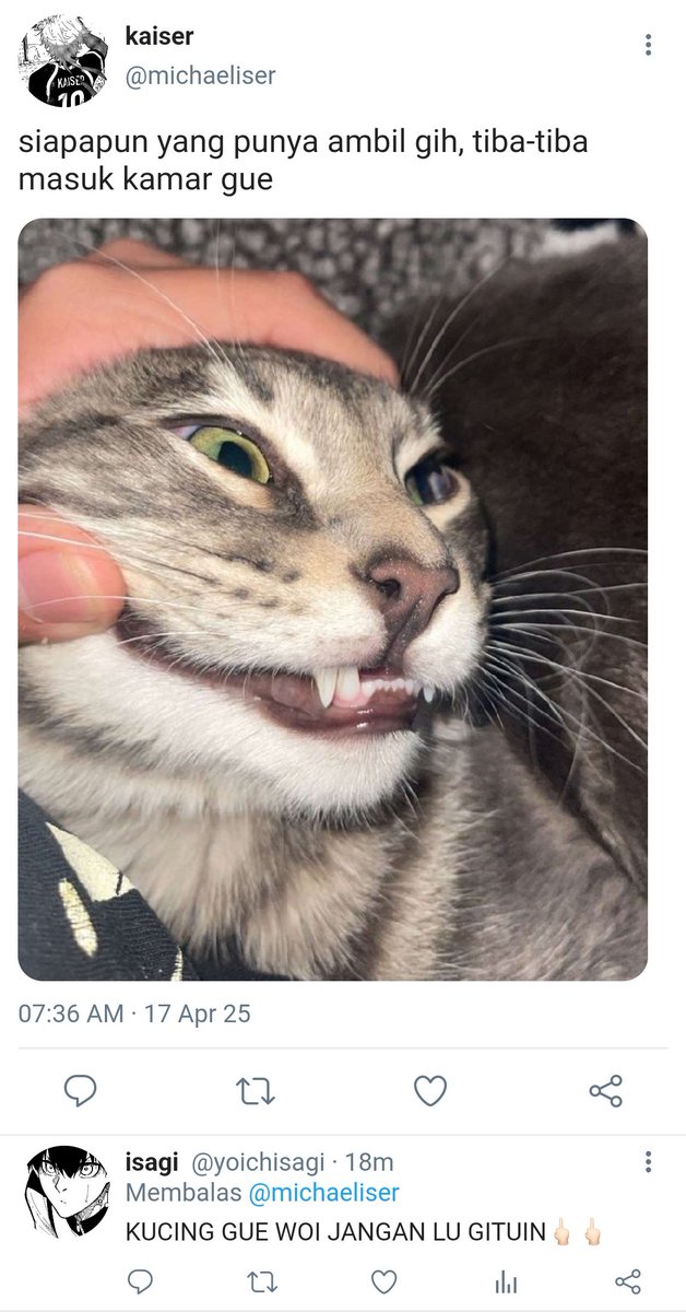 Airdrop Guru 🧘 tweet media