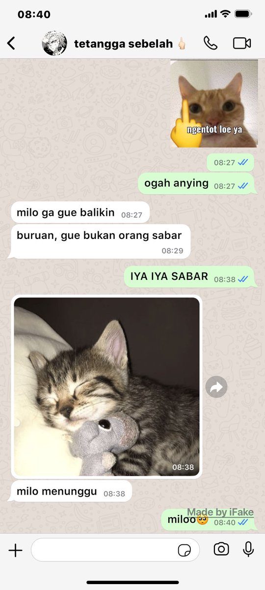 Airdrop Guru 🧘 tweet media