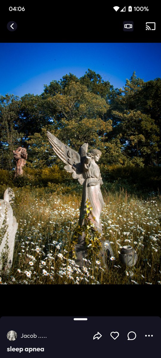 lostart0503's tweet photo. When I get stressed about life but remember Every person throughout history as looked upon the same moon 

#photooftheday #photographer #art #artist #gravryard #cemetry #death #history #summer #moody #mood #lost https://t.co/nle2iOsQik