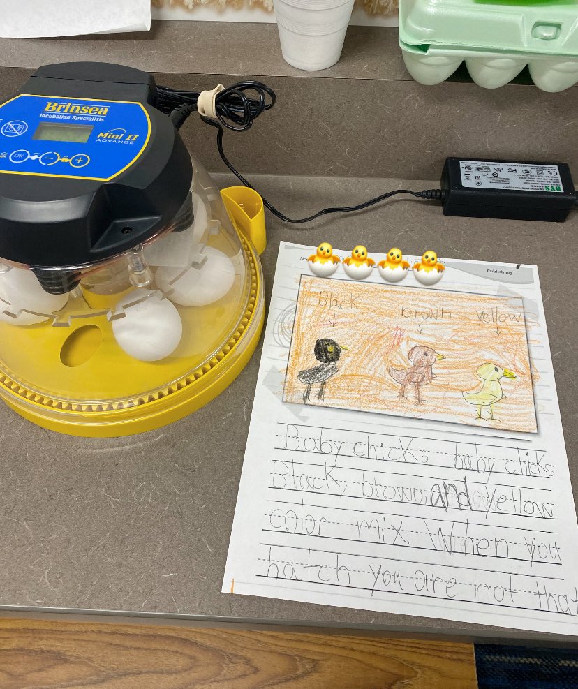 Nicole Goco (@msgoco_ge) on Twitter photo The chick eggs are here!! My blue jays are so excited that they wanted to write a class poem about the chicks. Love how they wanted to combine our poetry writing unit with science!! <a href="/Golbowtweets/">Golbowtweets</a> The chick eggs are here!! My blue jays are so excited that they wanted to write a class poem about the chicks. Love how they wanted to combine our poetry writing unit with science!! <a href="/Golbowtweets/">Golbowtweets</a>