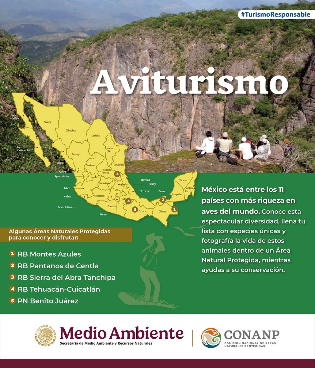Sus coloridos plumajes, cantos, tamaños, picos y diferentes tipos de vuelo las hacen muy atractivas para su observación, conocimiento y estudio. 🪶🦜🦚🪺🪿🐦🦅🦆

Opta por el #Aviturismo en #ÁreasNaturalesProtegidas y contribuye a su conservación. 💚🪶🌱

#TurismoResponsable 🍃