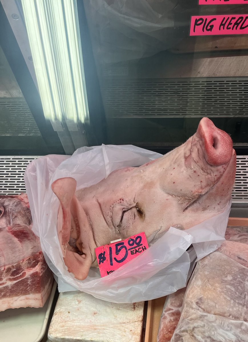 茹歌你大C哥在这里了🤣🤣