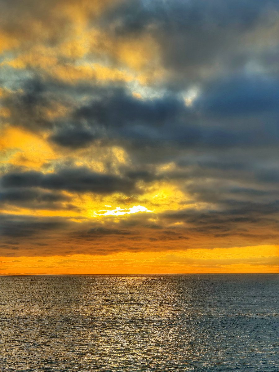 🇨🇦 tweet media