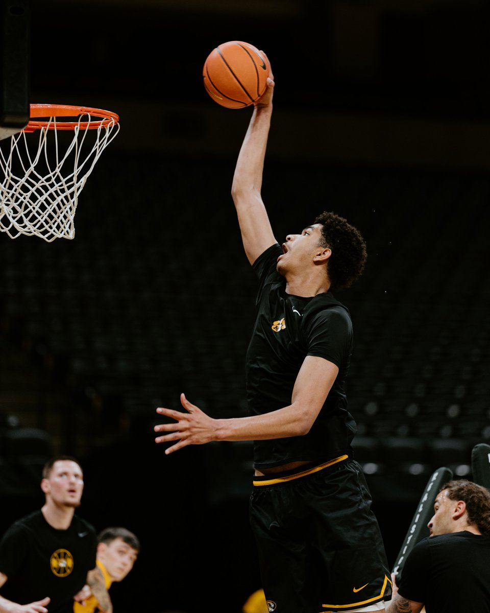 Mizzou Hoops tweet media