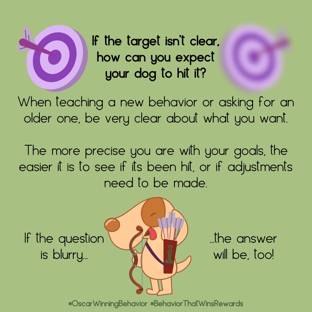OscarWinning's tweet image. It can feel a little picky in the beginning.

But the more precise you are in the beginning, the easier it is for Fluffy to understand and that makes both of you happier.

#OscarWinningBehavior #BehaviorThatWinsRewards