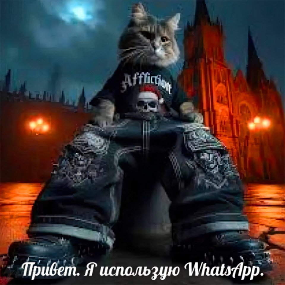 Двач (@ru2ch) on Twitter photo 