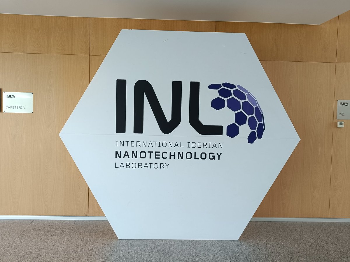 Rui Domingues tweet media