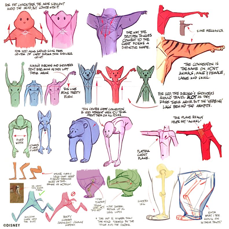 Today's feature tutorial/artist is this set of notes by the exceptional @CoryLoftis! Great information, wonderfully illustrated, note the comparisons between HUMAN and ANIMAL body shapes - AN AMAZING READ! #animation #animatiodev #characterdesign #gamedev #gameart #disney #furry
