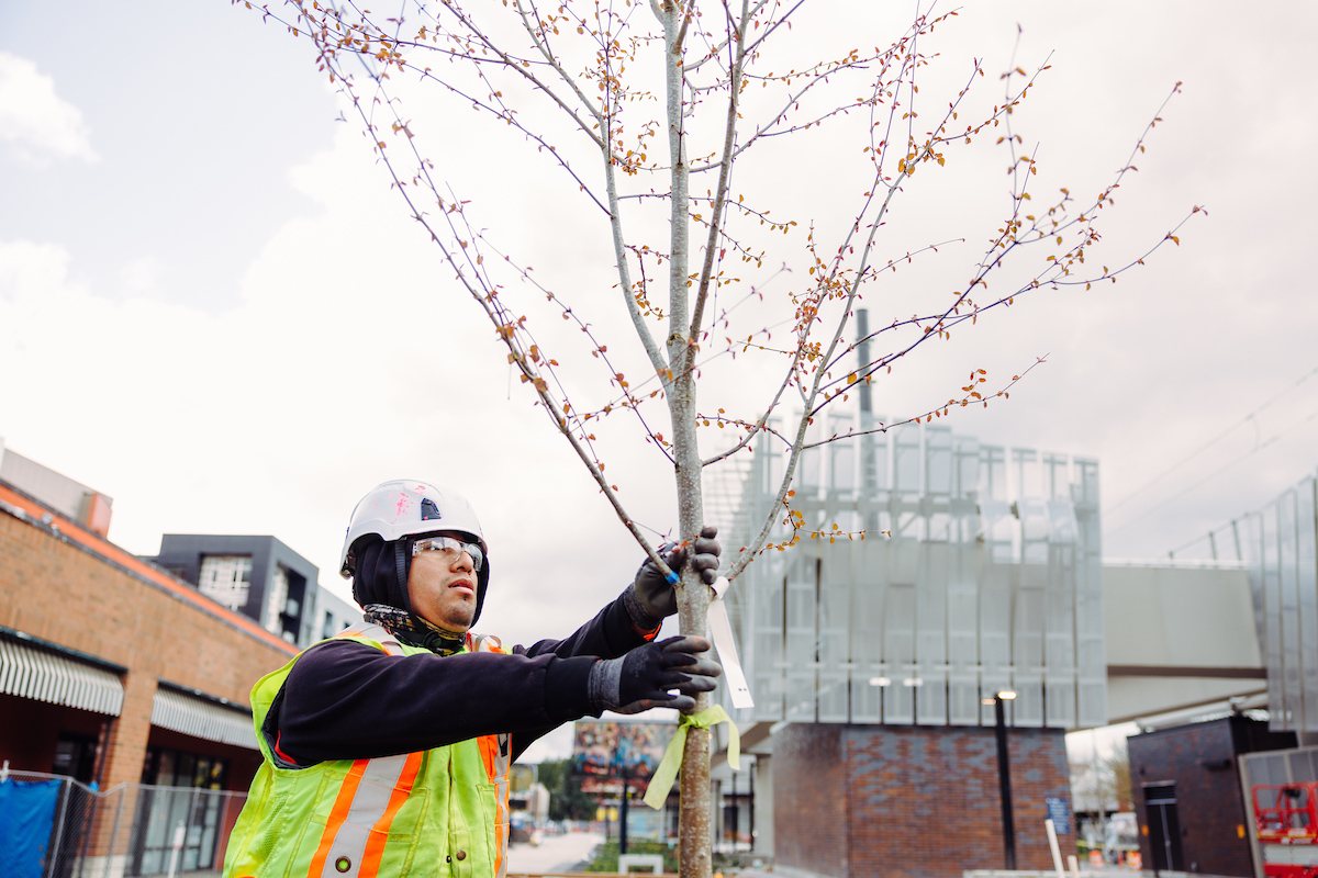 SoundTransit's tweet photo. Opening May 10: Stations that are shady — in the best way. 😎🌳

Strategic tree planting = cooler plazas, safer facilities, and a greener ride. 💚

Learn more about our newest stations in Redmond at https://t.co/Khos40a3fe #HelloRedmond #2Line https://t.co/wM6dUyJTkR