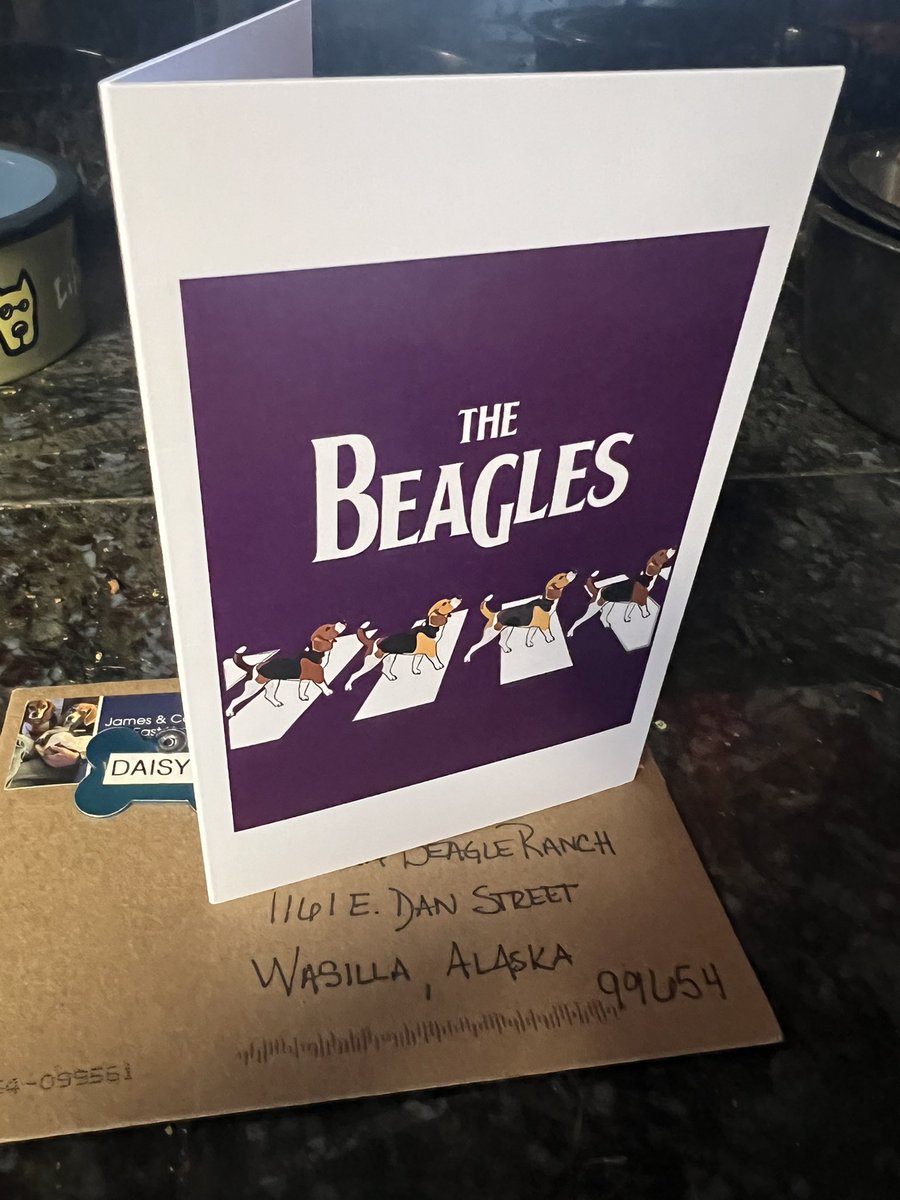 AK Beagle Ranch tweet media