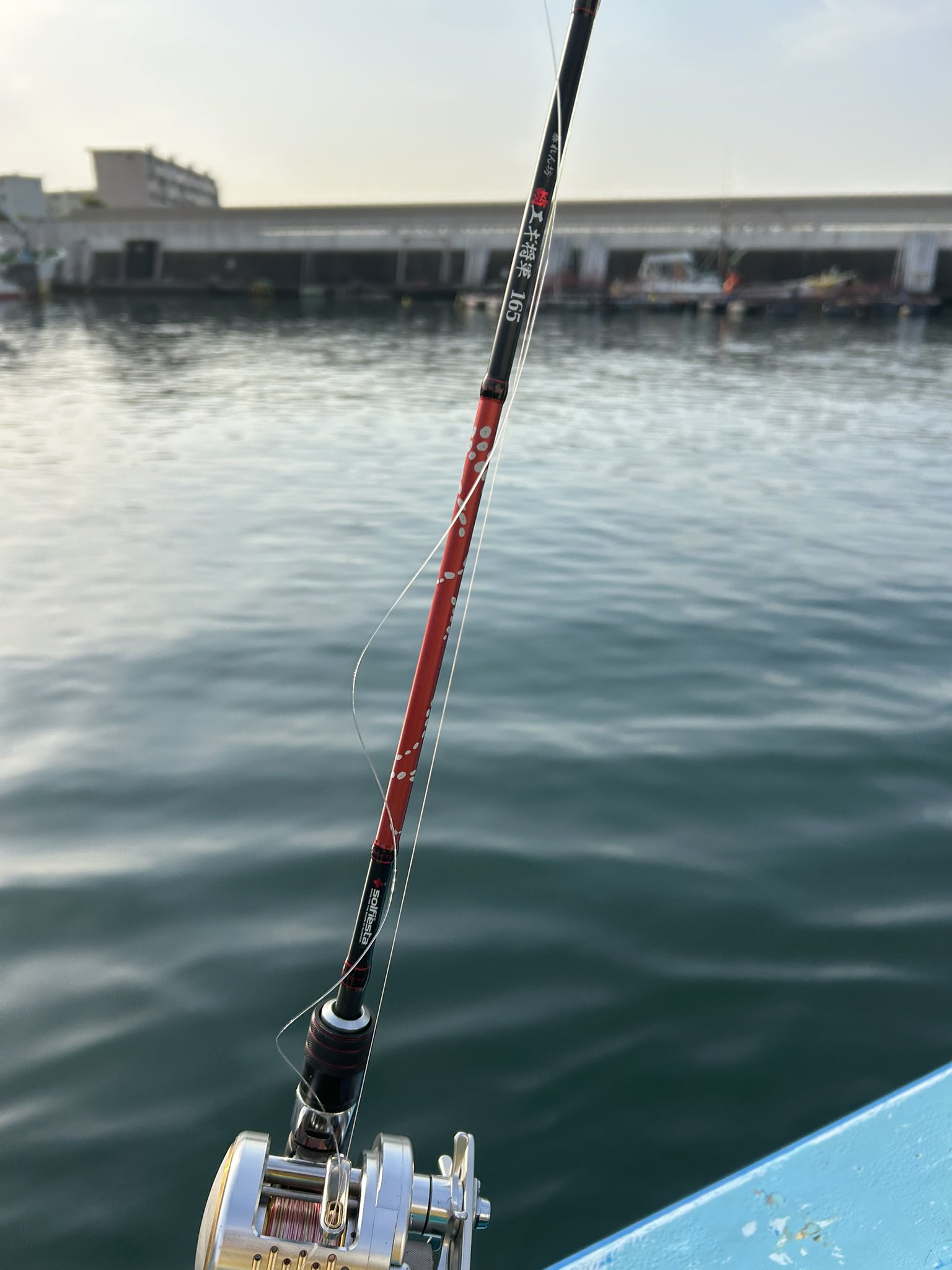 シェアーズ solfiesta ブランカルマール B662M (ティップラン エギング