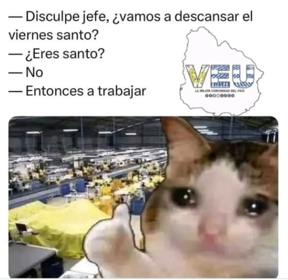 Danilo ☠️ tweet media