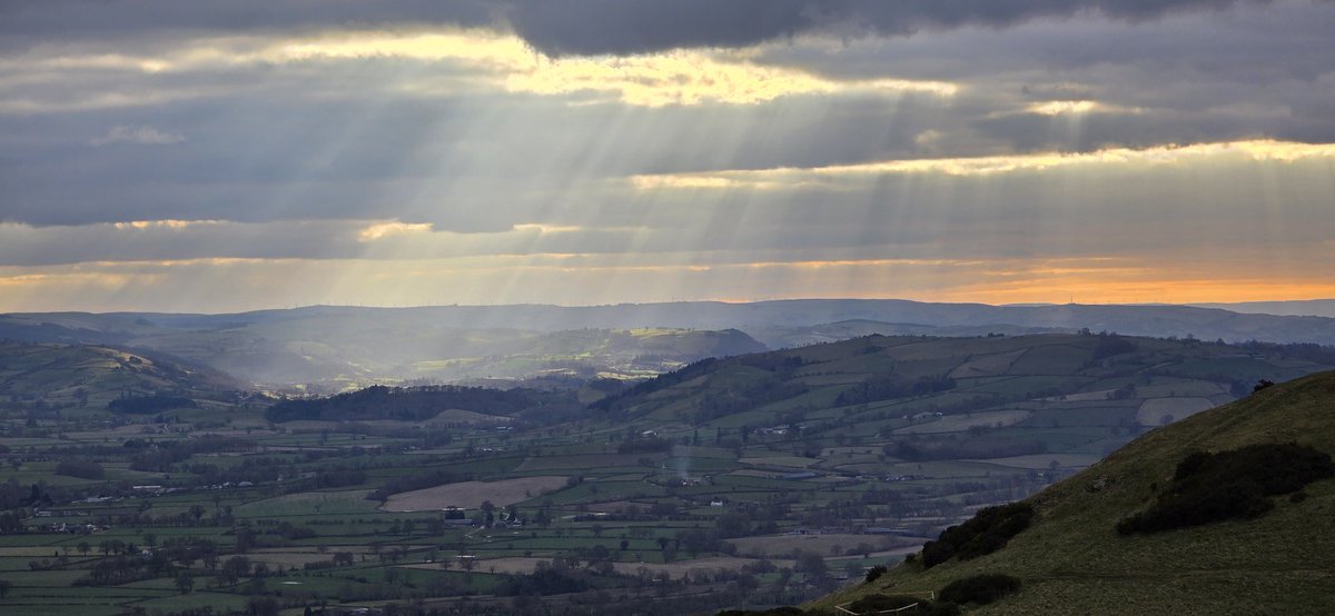 Phill Hicks tweet media