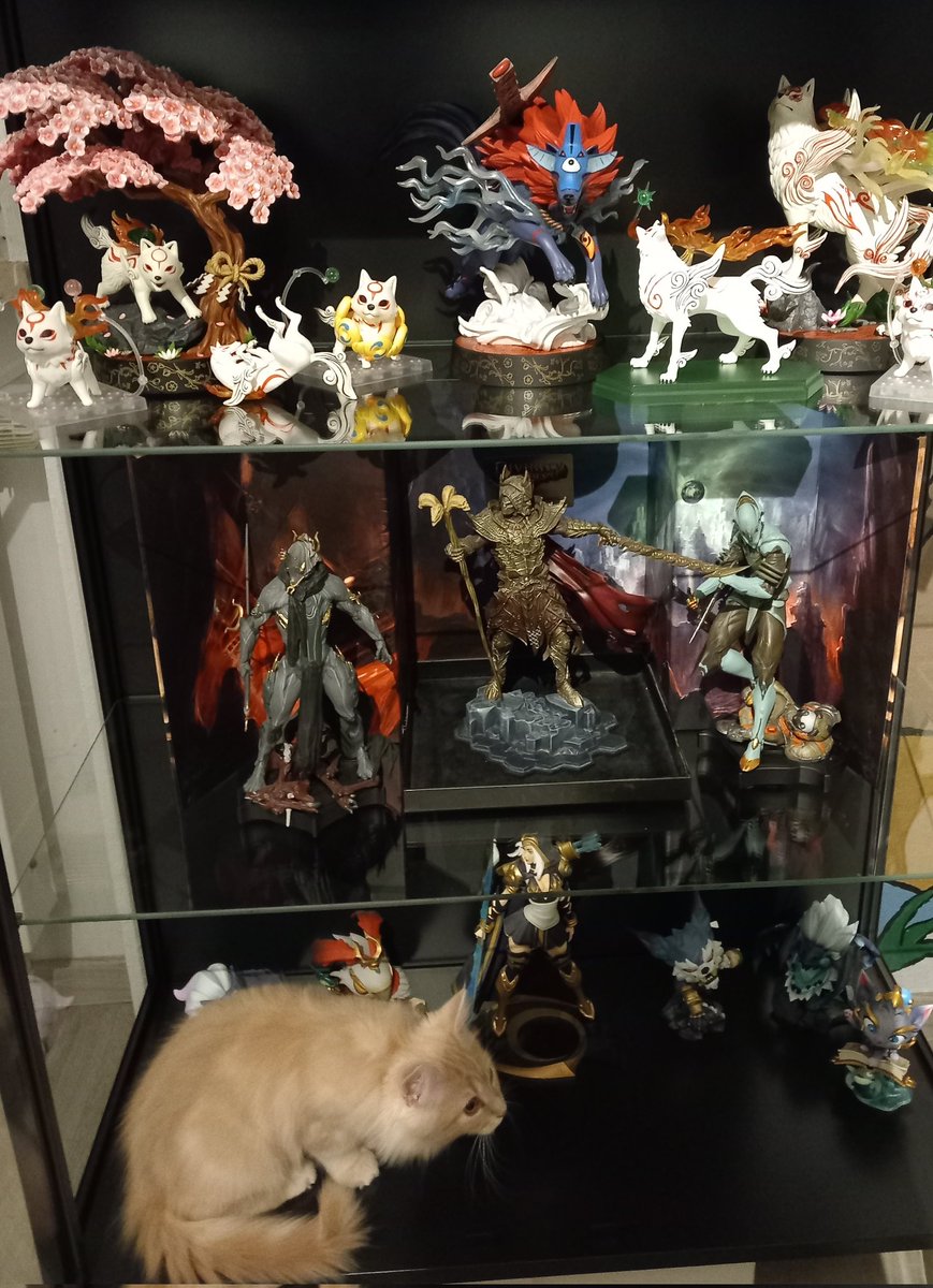 adorknamedmorph's tweet photo. Finally got a small display for my figures https://t.co/XXRL0SHBGG
