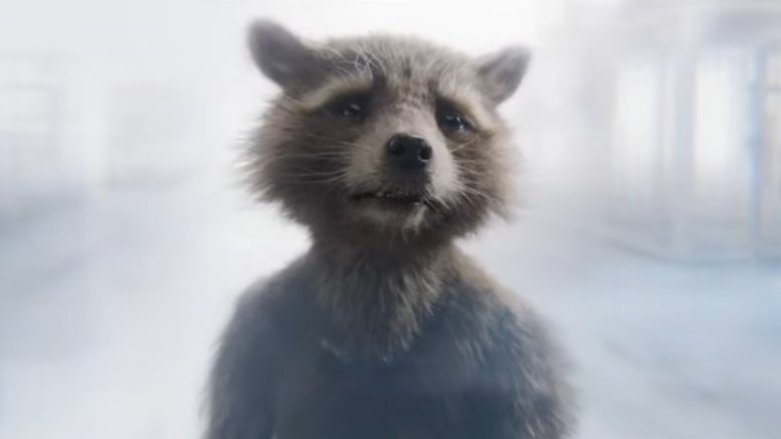 CaptainRocketR's tweet image. 