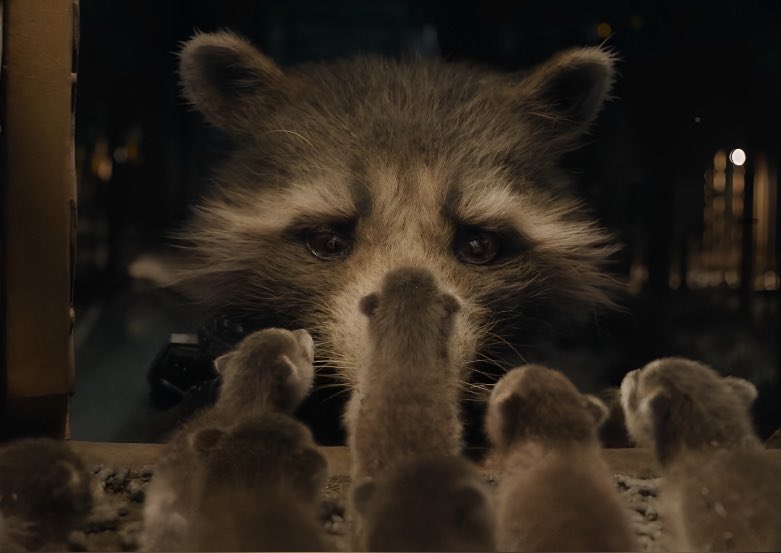 CaptainRocketR's tweet image. 