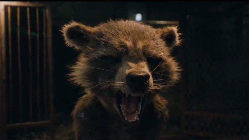 CaptainRocketR's tweet image. 