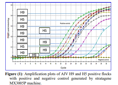 📒Avian Influenza Virus Threat to the Egyptian Poultry Industry: An Epidemiological and Molecular Study
👉cat.journals.ekb.eg/article_420640…
cat.journals.ekb.eg/article_420640…