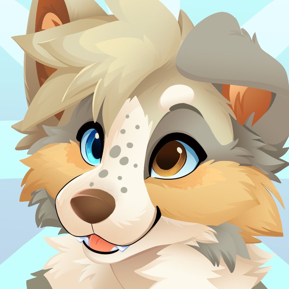 Feve 🔜 Anthrocon tweet media