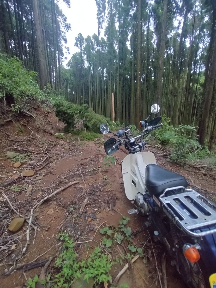 shin_bmw's tweet photo. #イケてるメインとナイスなセカンド

#YAMAHA
#ヤマハ発動機
#ヤマ派
#XTZ125
#XTZ125E
#townmate90
#タウンメイト90
#RIVERSHOAL
#リバーショール https://t.co/B6yRdgrVUe