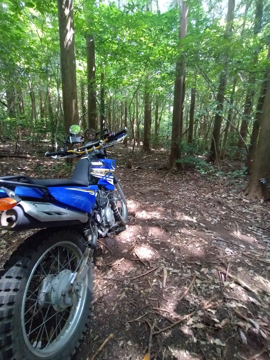 shin_bmw's tweet photo. #イケてるメインとナイスなセカンド

#YAMAHA
#ヤマハ発動機
#ヤマ派
#XTZ125
#XTZ125E
#townmate90
#タウンメイト90
#RIVERSHOAL
#リバーショール https://t.co/B6yRdgrVUe