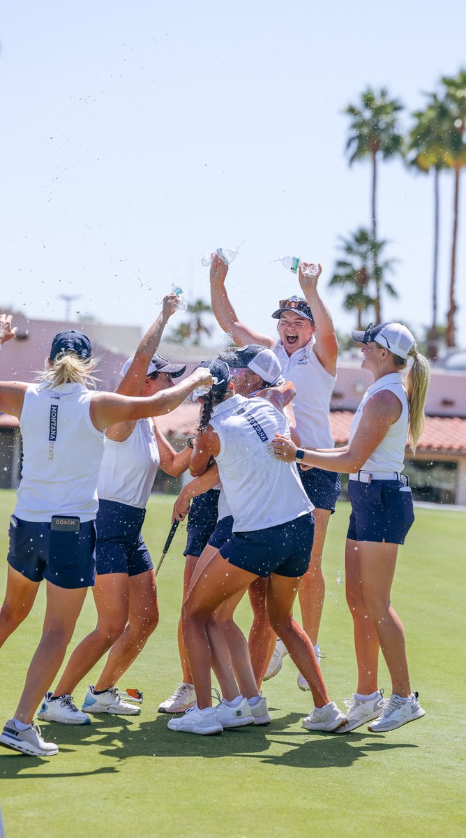 Montana State Golf tweet media