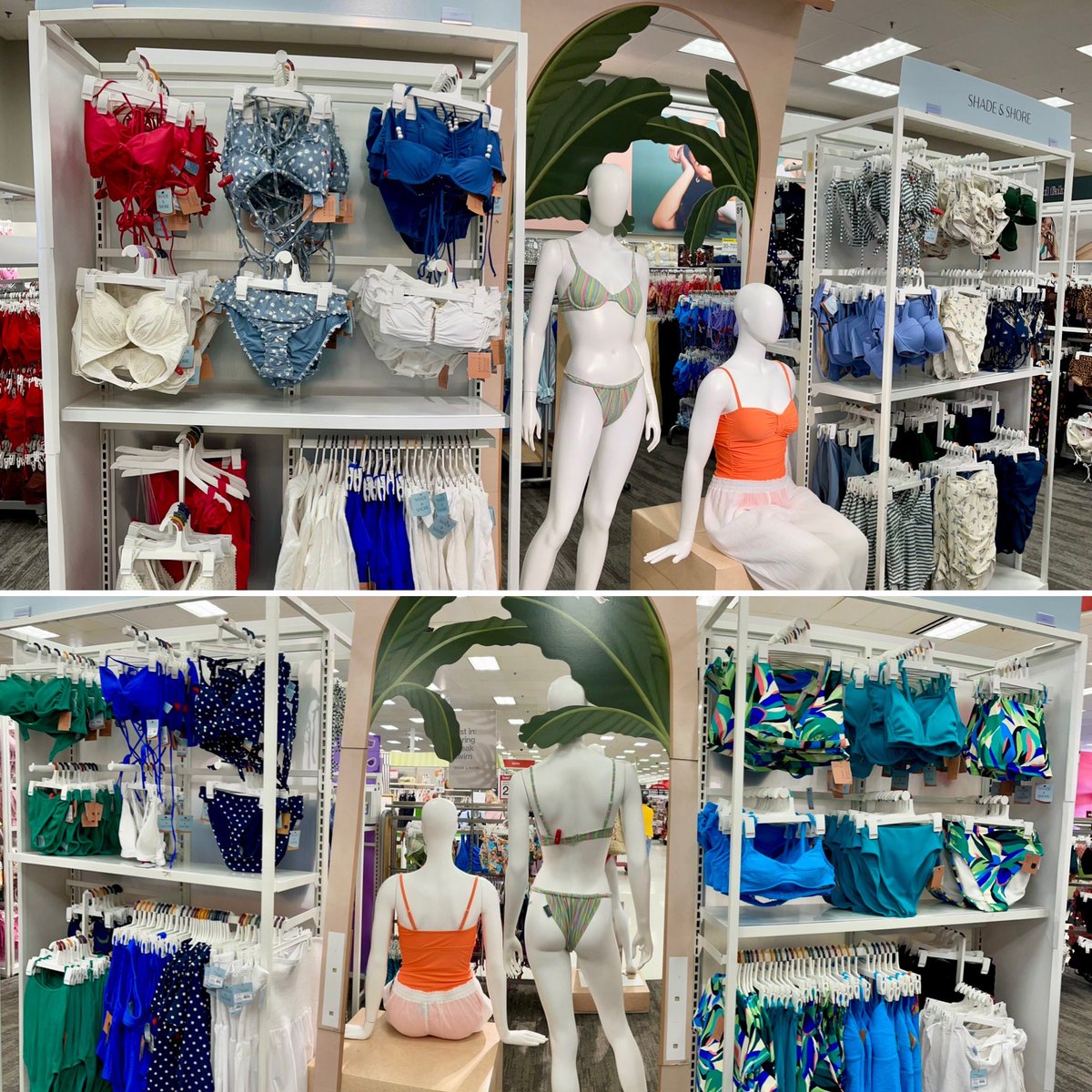 Mayling Sandlin tweet media