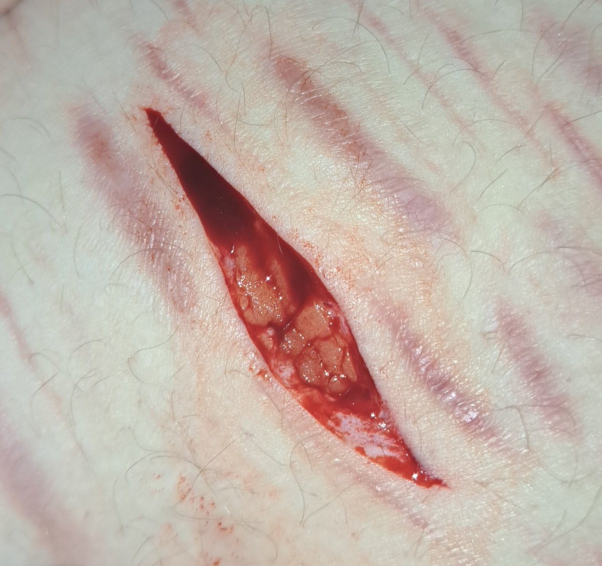 I havent cut in a bit, and forgot the kai razors are lowkey sharppp (Srry for my hairy ass thighs haha)