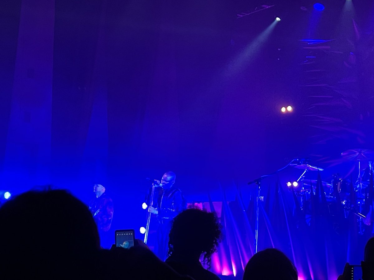 Dan King tweet media