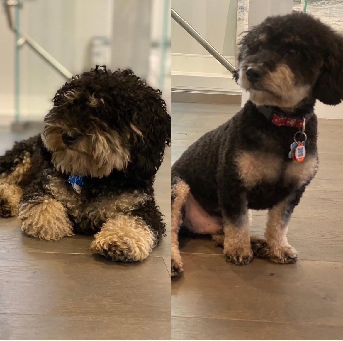 Mayor Ken Sim tweet media