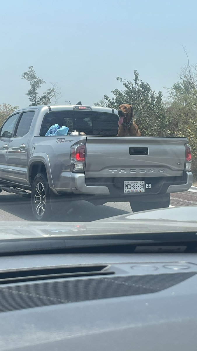 Dando Guerra tweet media