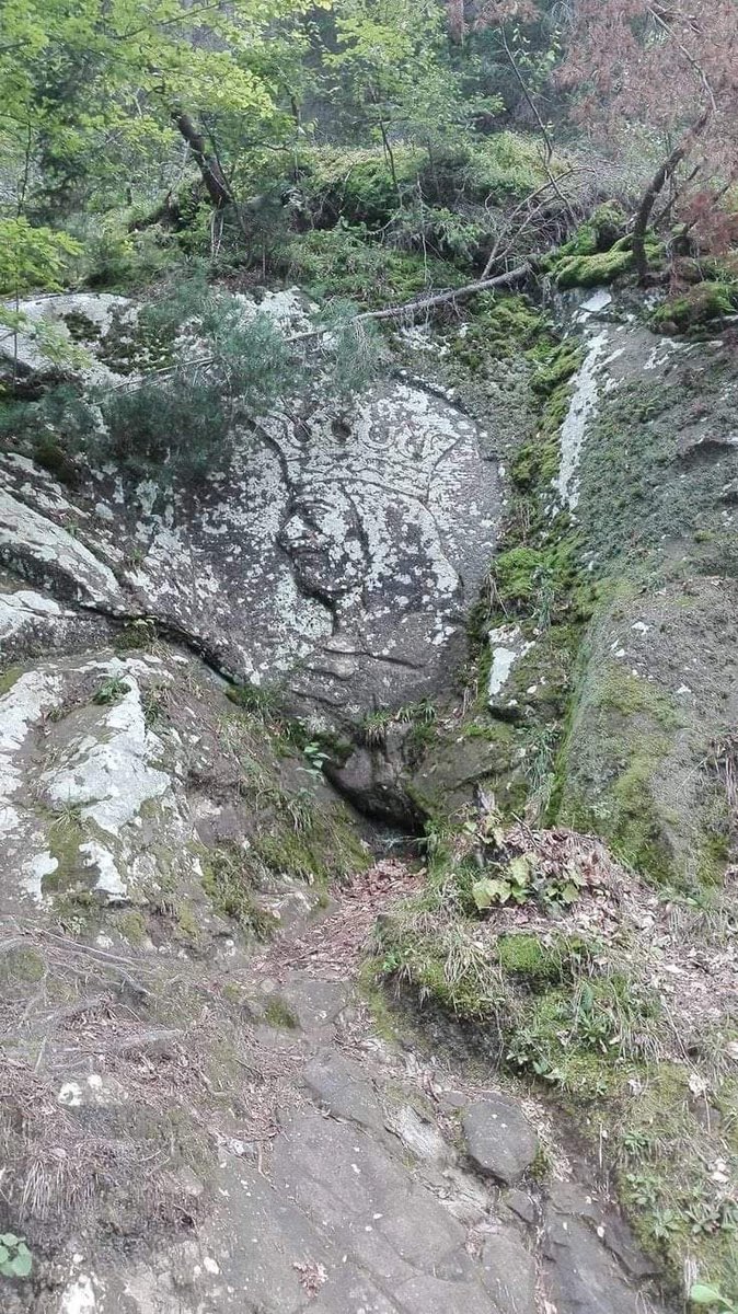 Nevzat Yılmaz (@dijitalaltin) on Twitter photo 