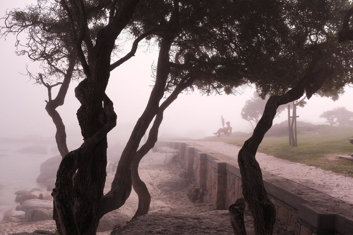 There’s a strange current moving through me. I feel myself slowly releasing the grip, the attachment to this beautiful city, even as I gather images that speak of the deep love and connection I still hold for it. 

Healing, I’m beginning to understand, is simply the courage to