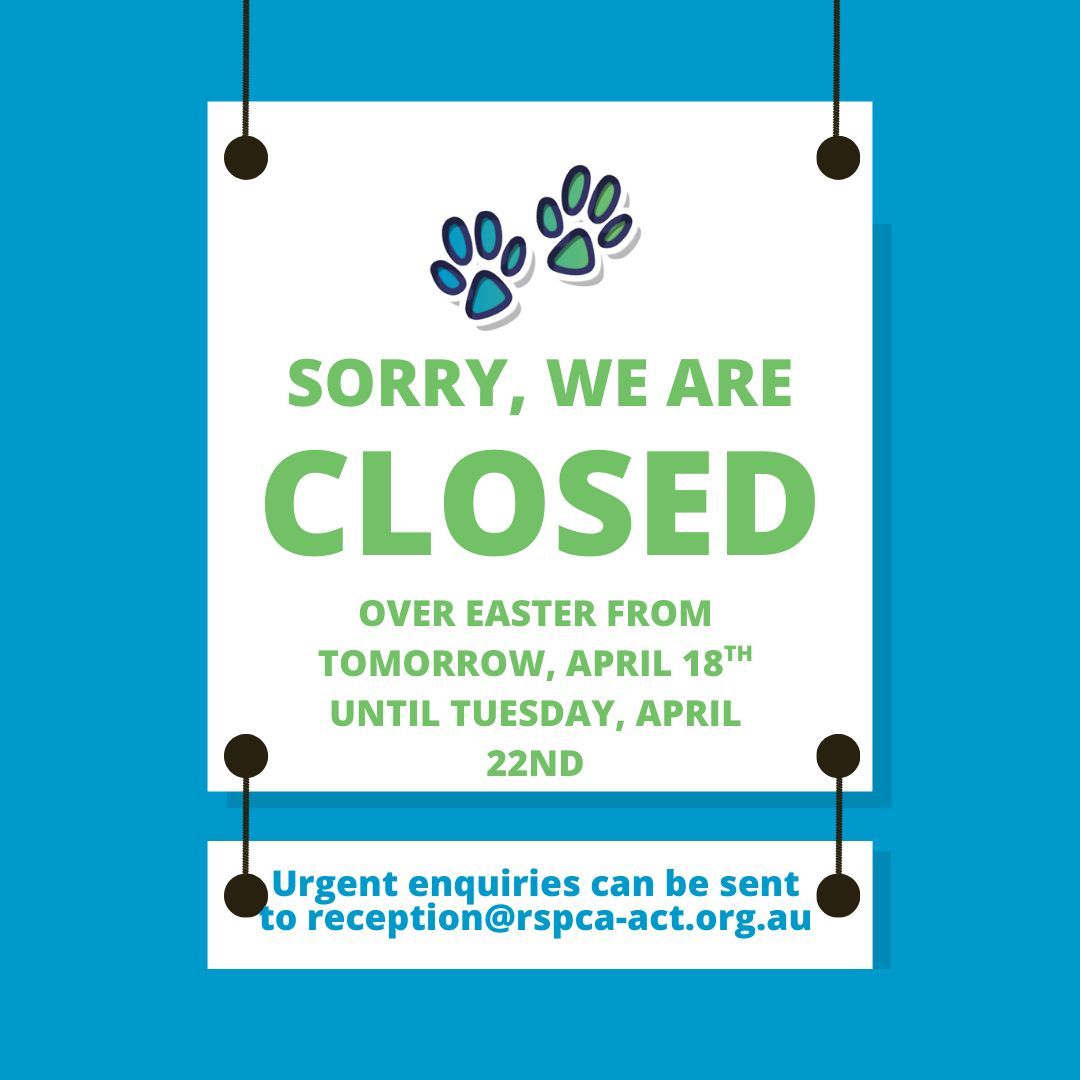 RSPCA ACT tweet media